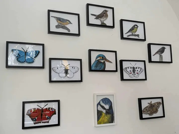 Galerie Třemešek – fotografie 08