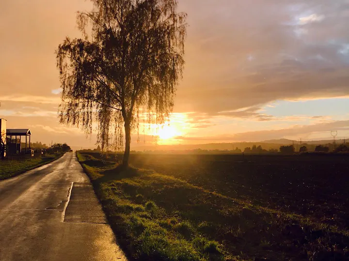 Galerie Třemešek – fotografie 12