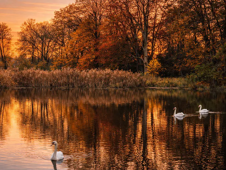 Galerie Třemešek – fotografie 13