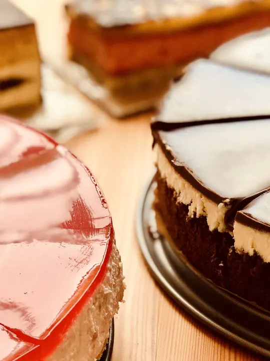 Galerie Třemešek – fotografie 22