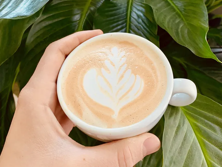 Galerie Třemešek – fotografie 30