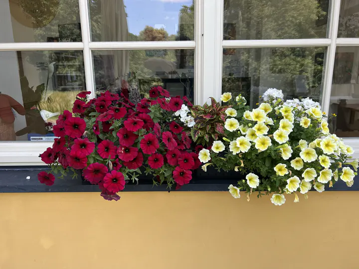 Galerie Třemešek – fotografie 62