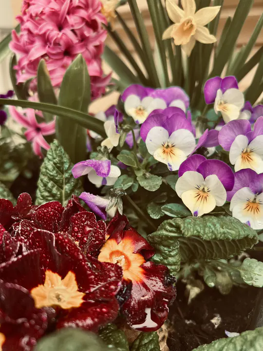 Galerie Třemešek – fotografie 75