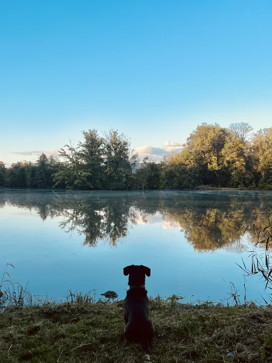 Galerie Třemešek – fotografie 77