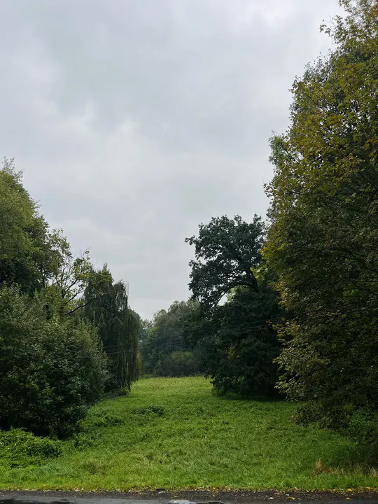 Galerie Třemešek – fotografie 78