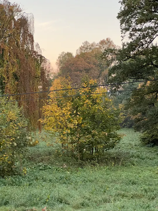 Galerie Třemešek – fotografie 89