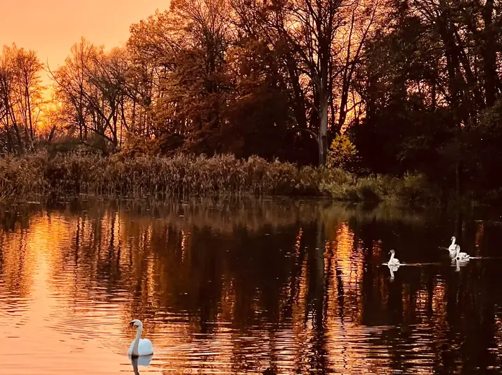 Třemešské rybníky při západu slunce
